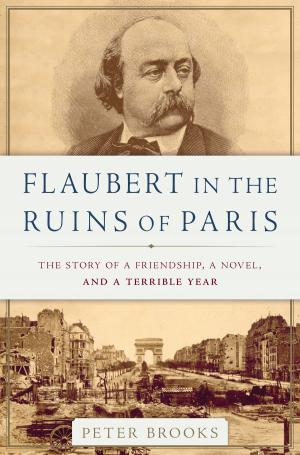 Cover of the book Flaubert in the Ruins of Paris by John Bradshaw, Sarah Ellis