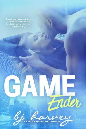 bigCover of the book Game Ender by 