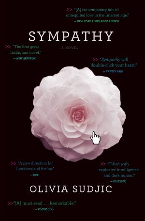 Cover of the book Sympathy by Leah Chaffins