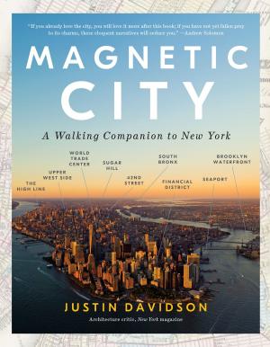 Cover of the book Magnetic City by Christy Lefteri