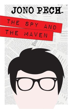Cover of the book The Spy and the Maven by Julie Kramer