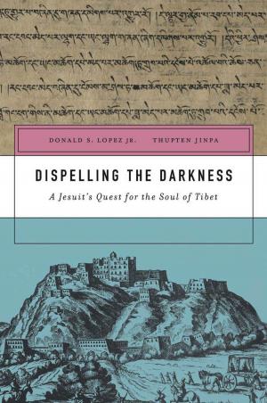 Book cover of Dispelling the Darkness