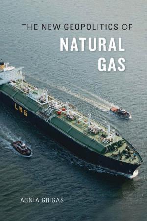 Cover of the book The New Geopolitics of Natural Gas by Jerome McGann