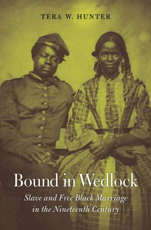 Cover of the book Bound in Wedlock by G. W. Bowersock