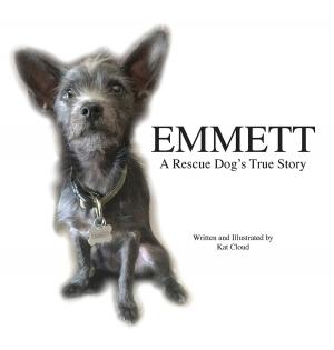 Cover of the book Emmett by Sandrine Etienne