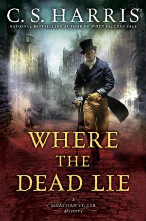 Cover of the book Where the Dead Lie by Jen Agg