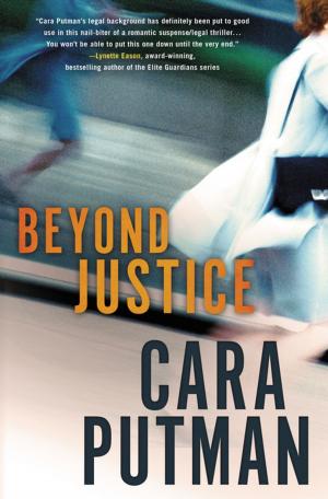 Cover of the book Beyond Justice by Sarah Young