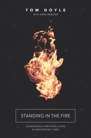 Book cover of Standing in the Fire