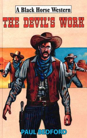 Cover of the book The Devil's Work by Joseph John McGraw