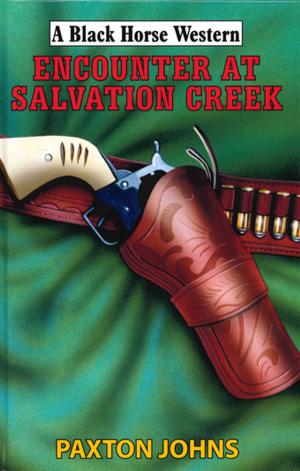 Cover of the book Encounter At Salvation Creek by Matt Laidlaw