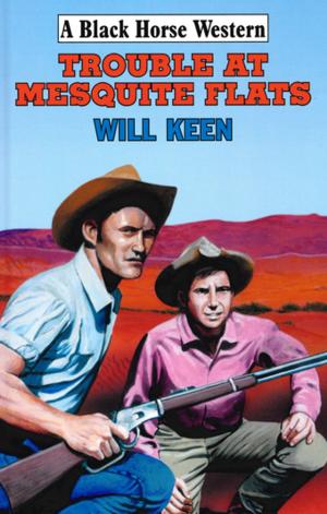 Cover of the book Trouble At Mesquite Flats by I. J. Parnham