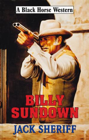 Cover of the book Billy Sundown by Maggie Lane