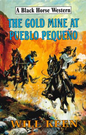 Cover of the book The Gold Mine at Pueblo Pequeno by Richard Smith