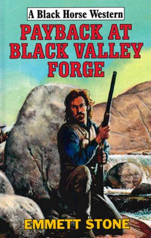Cover of the book Payback At Black Valley Forge by Carl Walker
