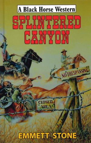 Cover of the book Splintered Canyon by D.D. Lang