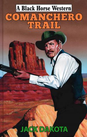 Cover of the book Comanchero Trail by John Dyson