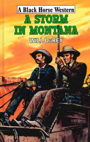 Cover of the book A Storm in Montana by Damian Hall