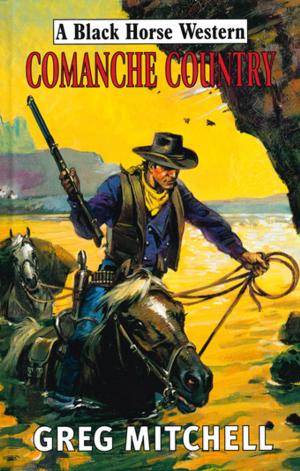 Cover of the book Comanche Country by Art Isberg