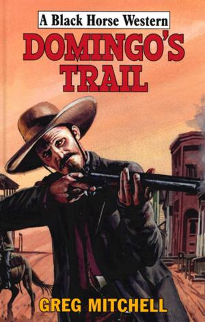 Cover of the book Domingo's Trail by Robert J Evers