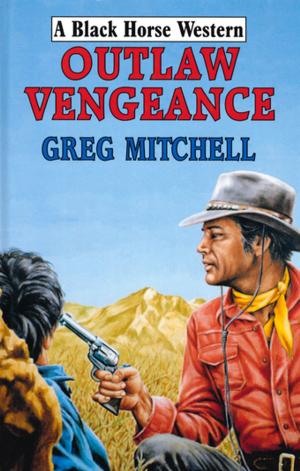 Cover of the book Outlaw Vengeance by Will DuRey