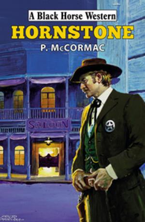 Cover of the book Hornstone by Andrew McBride