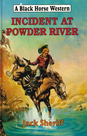 Cover of the book Incident At Powder River by Frank Chandler