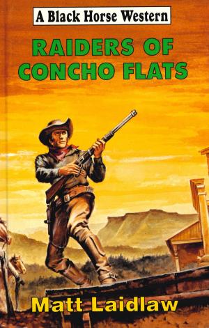 Book cover of Raiders of Concho Flats