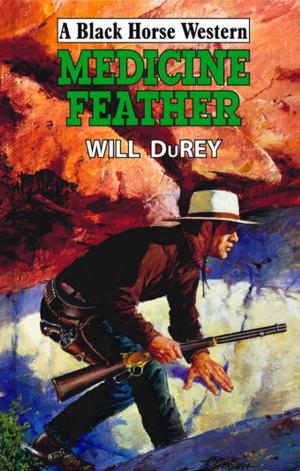 Cover of the book Medicine Feather by Edwin Derek