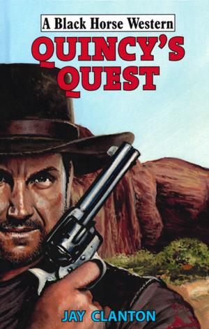 Cover of the book Quincy's Quest by Paul Bedford