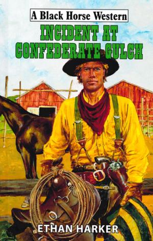 Cover of the book Incident At Confederate Gulch by Ty Walker