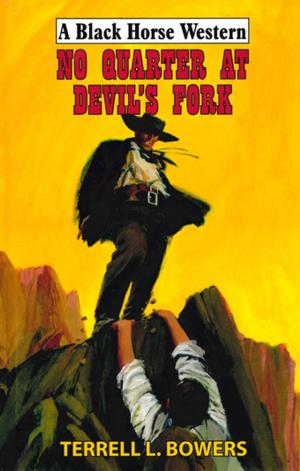 Cover of the book No Quarter At Devil's Fork by Ty Walker