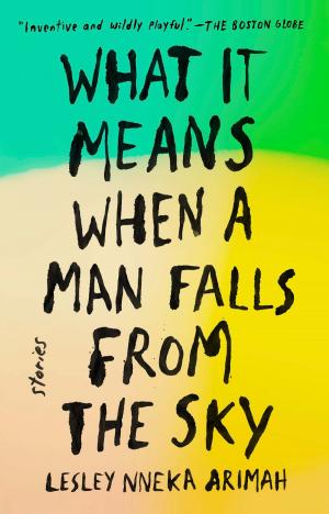 Cover of the book What It Means When a Man Falls from the Sky by Jean Johnson