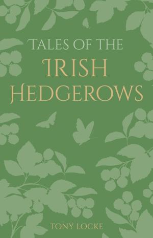 Cover of the book Tales of the Irish Hedgerows by Peter A. McCue