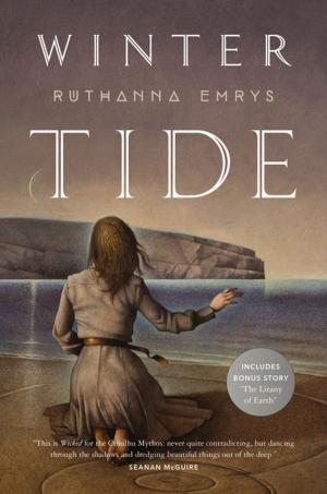 Cover of the book Winter Tide by Carrie Bebris