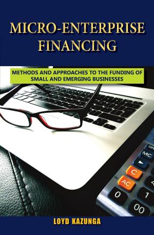 Cover of Micro-Enterprise Financing