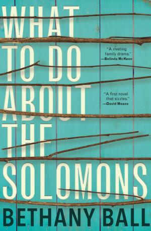 Cover of the book What to Do About the Solomons by Jon Robin Baitz