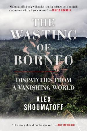 Book cover of The Wasting of Borneo