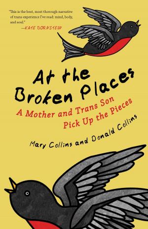 Cover of the book At the Broken Places by Nancy Mairs