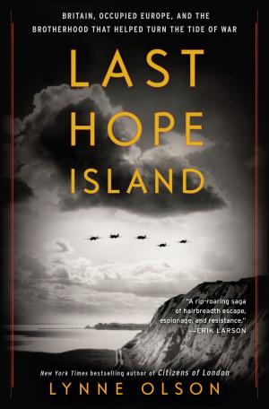 Cover of the book Last Hope Island by Mimi Jean Pamfiloff