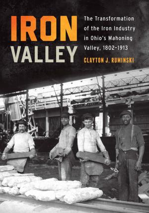 Cover of the book Iron Valley by Nuno Domingos