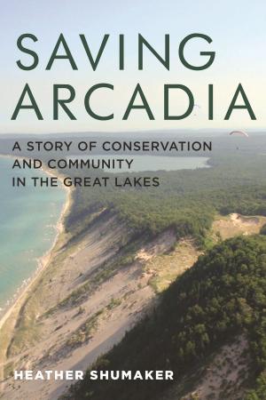 Cover of the book Saving Arcadia by Raphael Patai