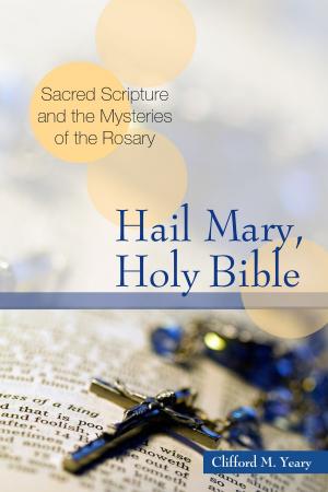 Book cover of Hail Mary, Holy Bible