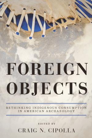Cover of the book Foreign Objects by Darius V. Echeverría