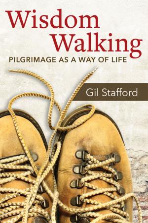 Cover of the book Wisdom Walking by Elizabeth Rankin Geitz