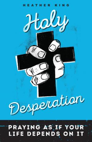 Cover of the book Holy Desperation by Robin Davis