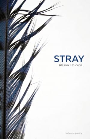 Cover of the book Stray by Mark Anthony Jarman