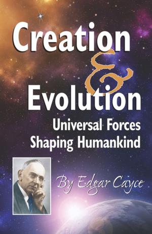 Cover of the book Creation and Evolution by Istvan Fazekas