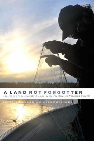 Cover of the book A Land Not Forgotten by Truth and Reconciliation Commission of Canada, Aimée Craft