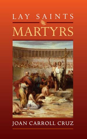 Cover of the book Lay Saints by Mary Fabyan Windeatt