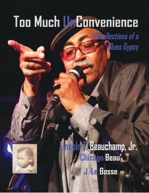 Cover of the book Too Much UnConvenience by Diane Eklund-Abolins